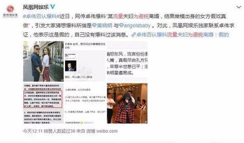 卓伟爆料晨冰事件视频,卓伟独家爆料，揭秘娱乐圈惊天秘闻  第3张